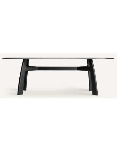 Elegant Sort Suchdol Spisebord i Asketræ og Glas 230 cm