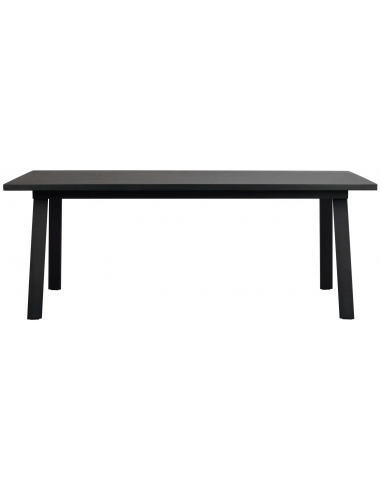 Sort Rowico Winnipeg Metal Egetræsfinr 200 100 Rowico Home Spisebord