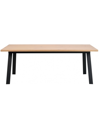 Hvid Rowico Winnipeg Metal Egetræsfinr 200 100 Sort White Wash Rowico Home Spisebord