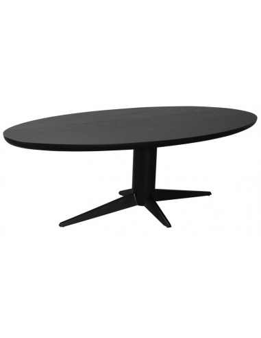 Sort Rayford Ovalt Egetræ Stål 230 110 Spisebord